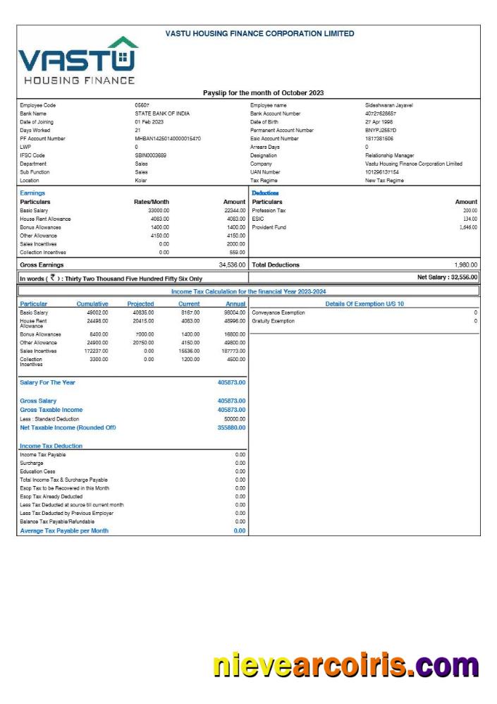 Vastu Housing Finance Corporation payslip